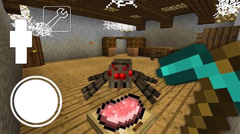 Секреты привлечения паука в дом