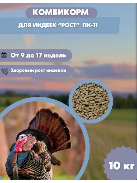 Семечки и поведение индюков