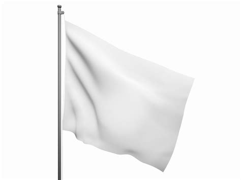 Серо-белый флаг: значение символа сегодня