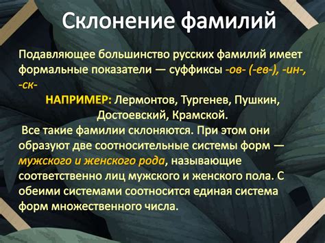 Склонение и употребление фамилии Ботнарь
