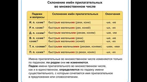 Склонение множественного числа