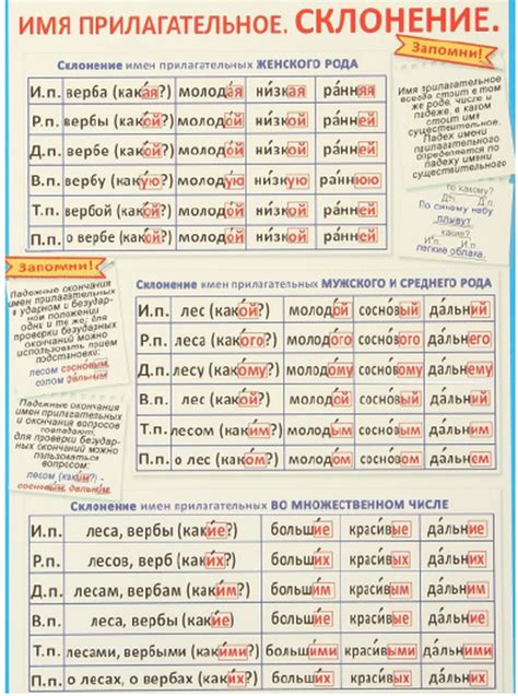 Склонение по родам и числам