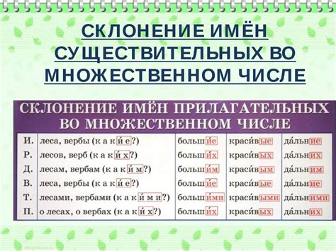 Склонение при мужском роде
