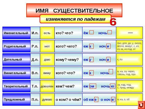 Склонение фамилии Борзых в дательном падеже