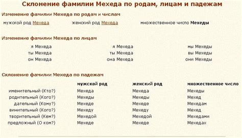 Склонение фамилии Лепа