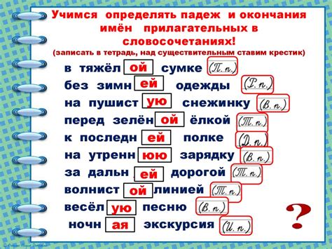 Склонение фамилии Нуца в единственном числе