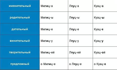 Склонение фамилии Рухля в именительном падеже