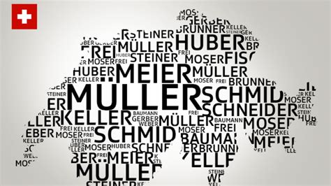 Склонение фамилии Швейцарские