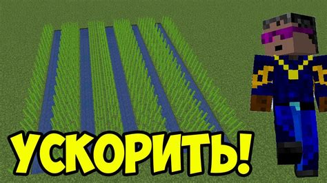 Скорость роста тростника в Майнкрафт: советы и гайд