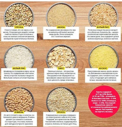 Слизистые каши: основные характеристики и полезные свойства