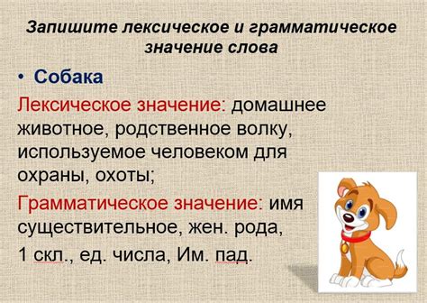 Слово хаори: грамматическое значение термина