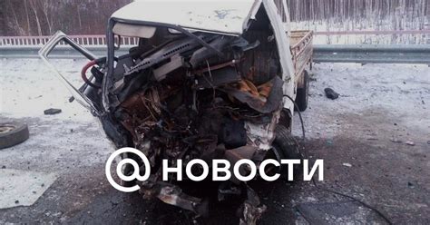 Смерть хомяка-водителя в автокатастрофе