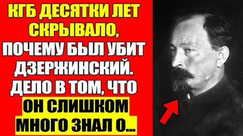 Смерть хомяка-кондитера от избытка еды