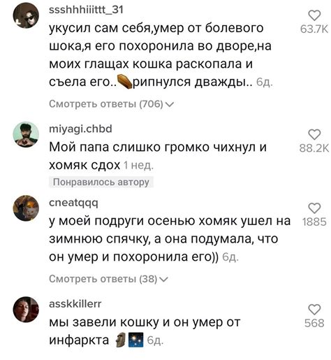 Смешные и нелепые смерти хомяков