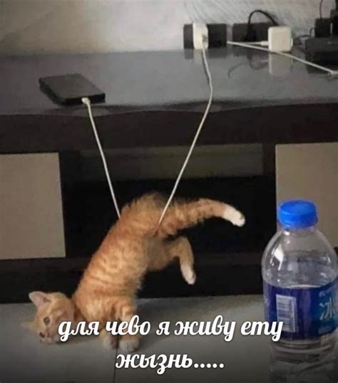 Смысловая нагрузка