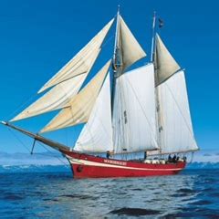 Советы для успешной борьбы