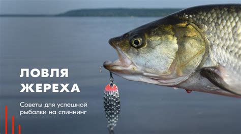 Советы для успешной рыбалки на Радмире