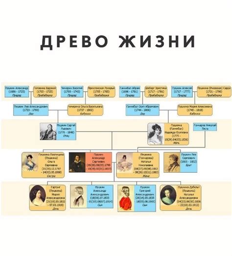 Советы по правильному склонению для семейного древа