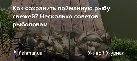 Советы рыболовам: как сохранить скат вкусным и полезным