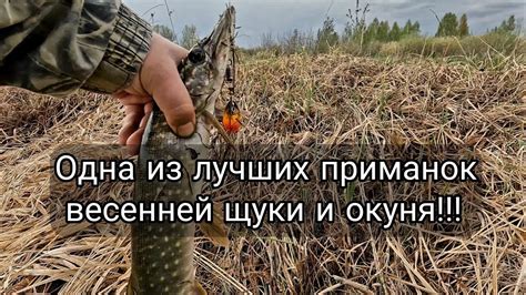 Создание ловушек и приманок