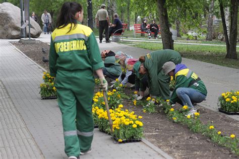 Создание прибыльных зон