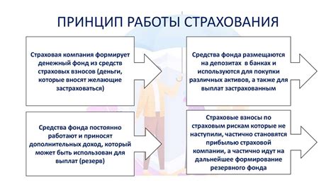 Сопутствующие услуги: описание, преимущества и виды