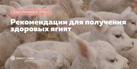 Сочетания пород для получения здоровых потомков
