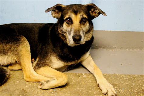 Способы ее решения