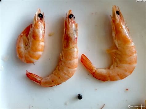 Способы определить, испорчены ли замороженные креветки