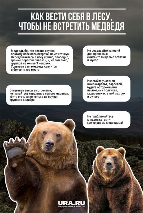 Сражайтесь с медведем