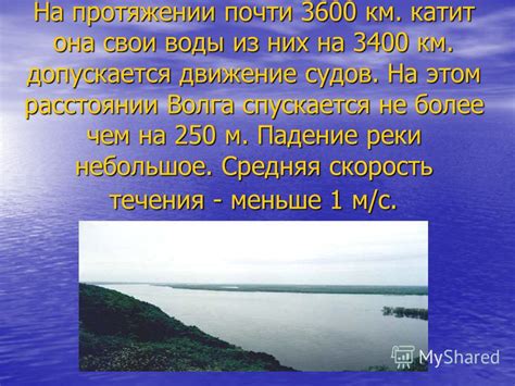 Средняя скорость течения реки Волга