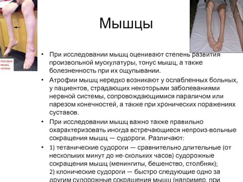 Степень развития мышц и суставов