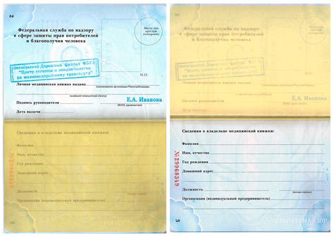 Стоимость получения санитарной книжки в Витебске