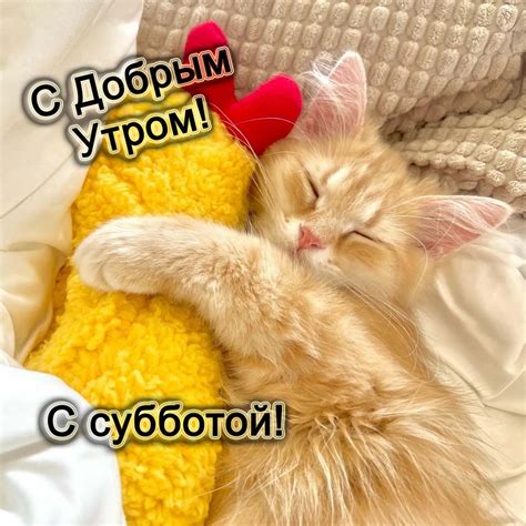 Суббота: