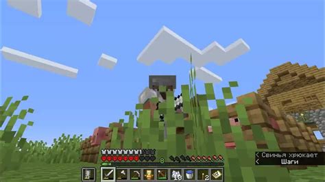 Судьба жертв Minecraft