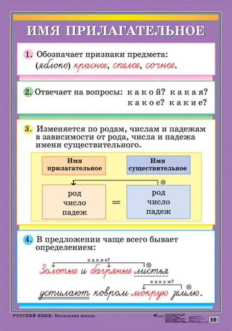 Существительное и прилагательное