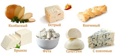 Сыры, рекомендуемые для употребления при подагре