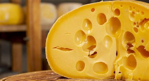 Сыры с низким содержанием пуринов, разрешенные для употребления при подагре