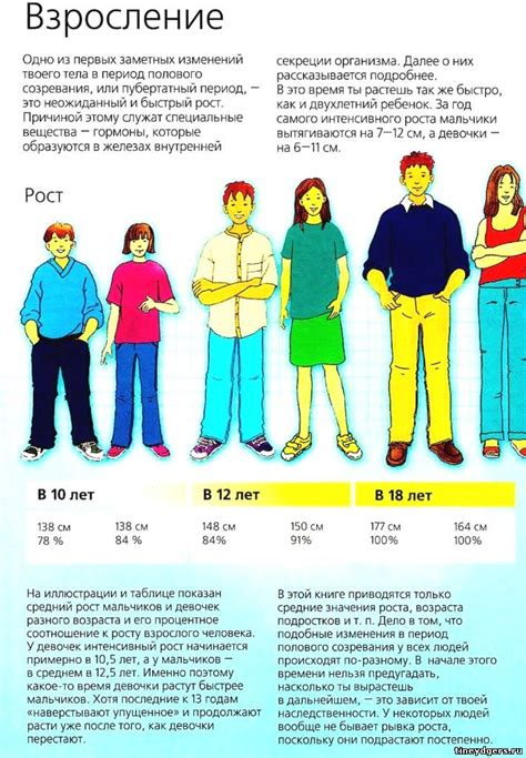 С какого возраста начинает созревать бык