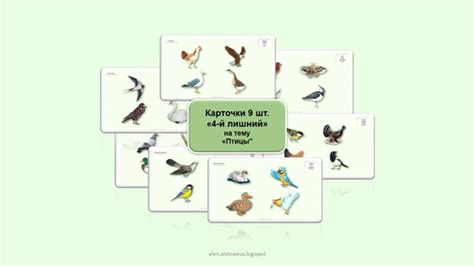 Тема птицы и клетки в игре