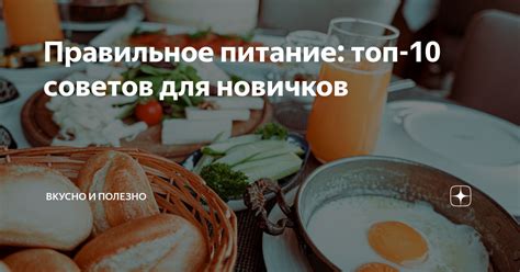Топ советов для новичков