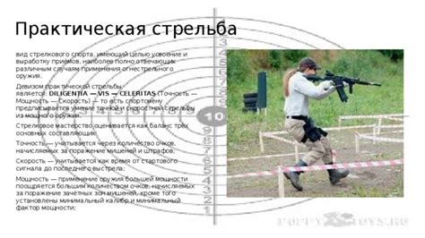 Точность стрельбы как основной фактор успеха
