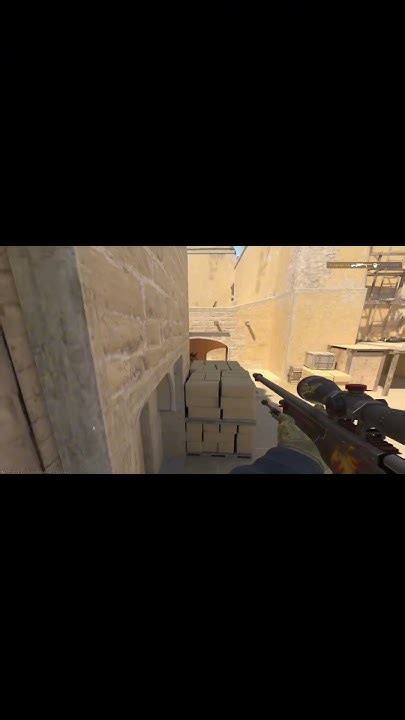 Тренировка и эволюция