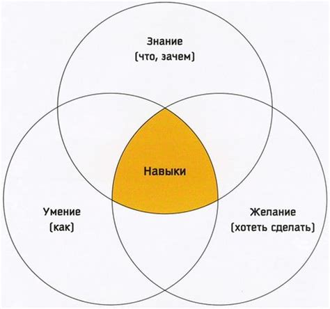 Умения: описание и развитие навыков в процессе обучения
