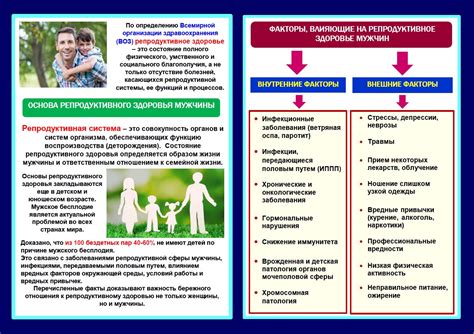 Факторы, влияющие на смертоносность падения