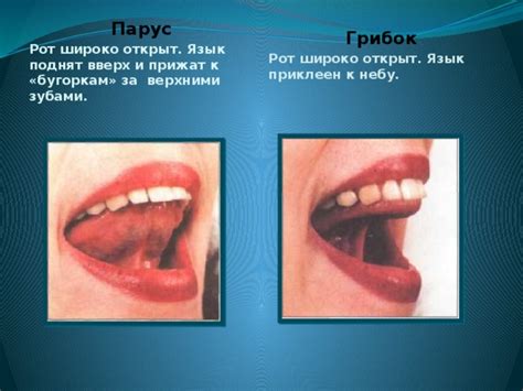 Факт 5: У страусов язык закреплен плотно к небу, не высовывается