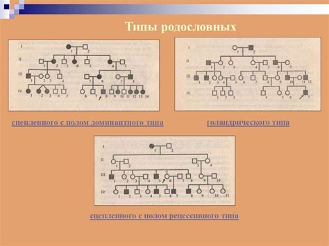 Фамилия в родословных