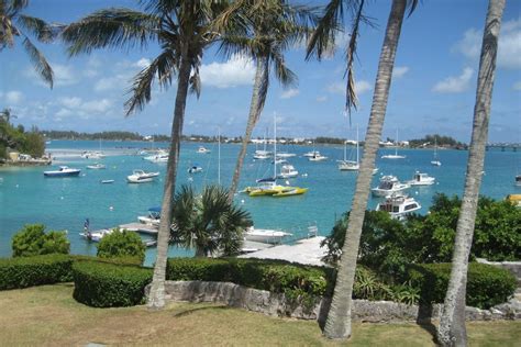 Флора Бермудских островов