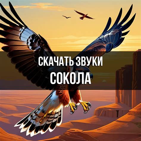Характерные звуки сокола