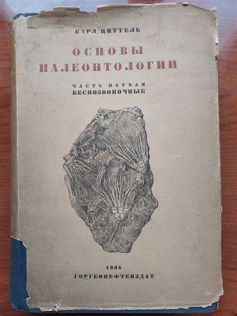 Циттель в мировой истории